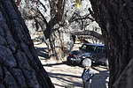 photo thumbnail #4