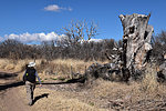 photo thumbnail #5