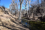 photo thumbnail #15