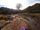 photo thumbnail #11