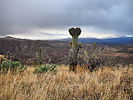 photo thumbnail #8