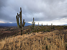 photo thumbnail #9