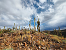 photo thumbnail #14