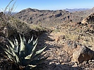 photo thumbnail #4