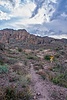 photo thumbnail #10