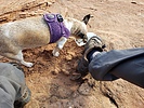 photo thumbnail #12