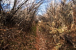 photo thumbnail #8