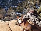 photo thumbnail #9