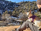 photo thumbnail #10