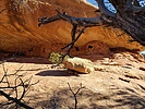 photo thumbnail #11