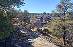 photo thumbnail #3