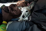 photo thumbnail #1
