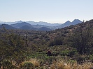 photo thumbnail #6