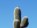 photo thumbnail #10