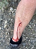 photo thumbnail #2
