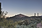 photo thumbnail #4