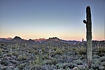 photo thumbnail #6