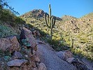 photo thumbnail #2