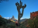 photo thumbnail #8