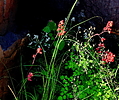 photo thumbnail #12