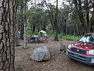 photo thumbnail #5