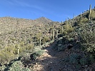 photo thumbnail #1