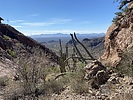 photo thumbnail #1