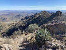 photo thumbnail #8