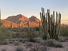 photo thumbnail #14
