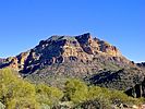 2022-01-27 :1: Bulldog Cyn to Salt River :: kingsnake