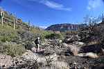 photo thumbnail #3
