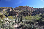 photo thumbnail #7