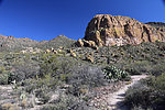 photo thumbnail #12