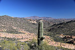 photo thumbnail #12