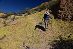 photo thumbnail #14