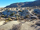 photo thumbnail #1