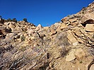 photo thumbnail #15