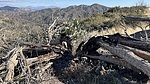 photo thumbnail #13