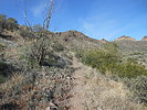 photo thumbnail #5