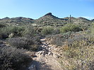 photo thumbnail #4