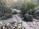 photo thumbnail #8