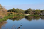 photo thumbnail #10