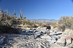 photo thumbnail #4