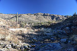 photo thumbnail #5