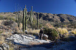 photo thumbnail #6
