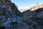 photo thumbnail #10