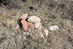 photo thumbnail #14