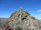 photo thumbnail #5