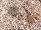 photo thumbnail #13