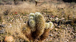 photo thumbnail #13